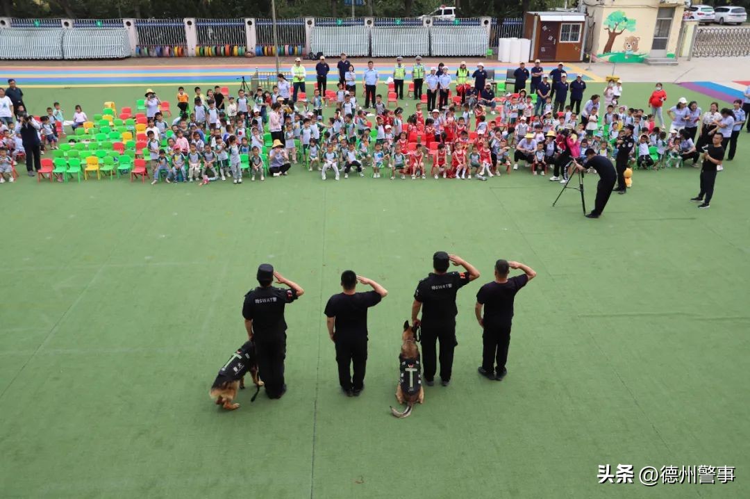 跟着警察去抓酒驾,跟着警察叔叔去出警