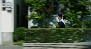 终于对这个题材下手了,建议国内翻拍