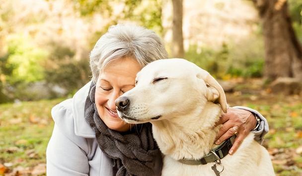 农村养狗是否违规,农村养狗扰民犯法吗