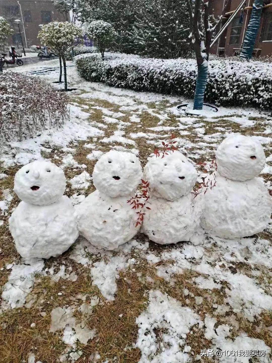 西安一小区物业免费为业主送菜,西安一小区物业给业主送温暖