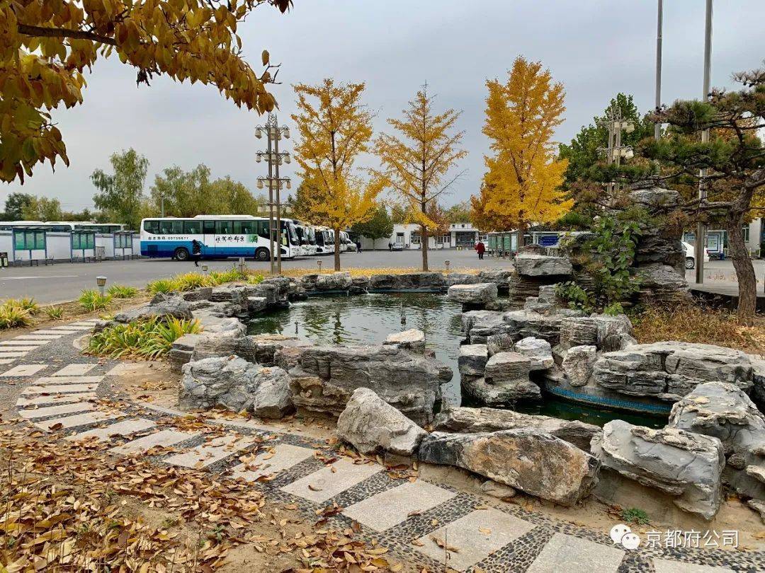 近视眼能考摩托车驾驶证吗,近视眼可考驾照吗