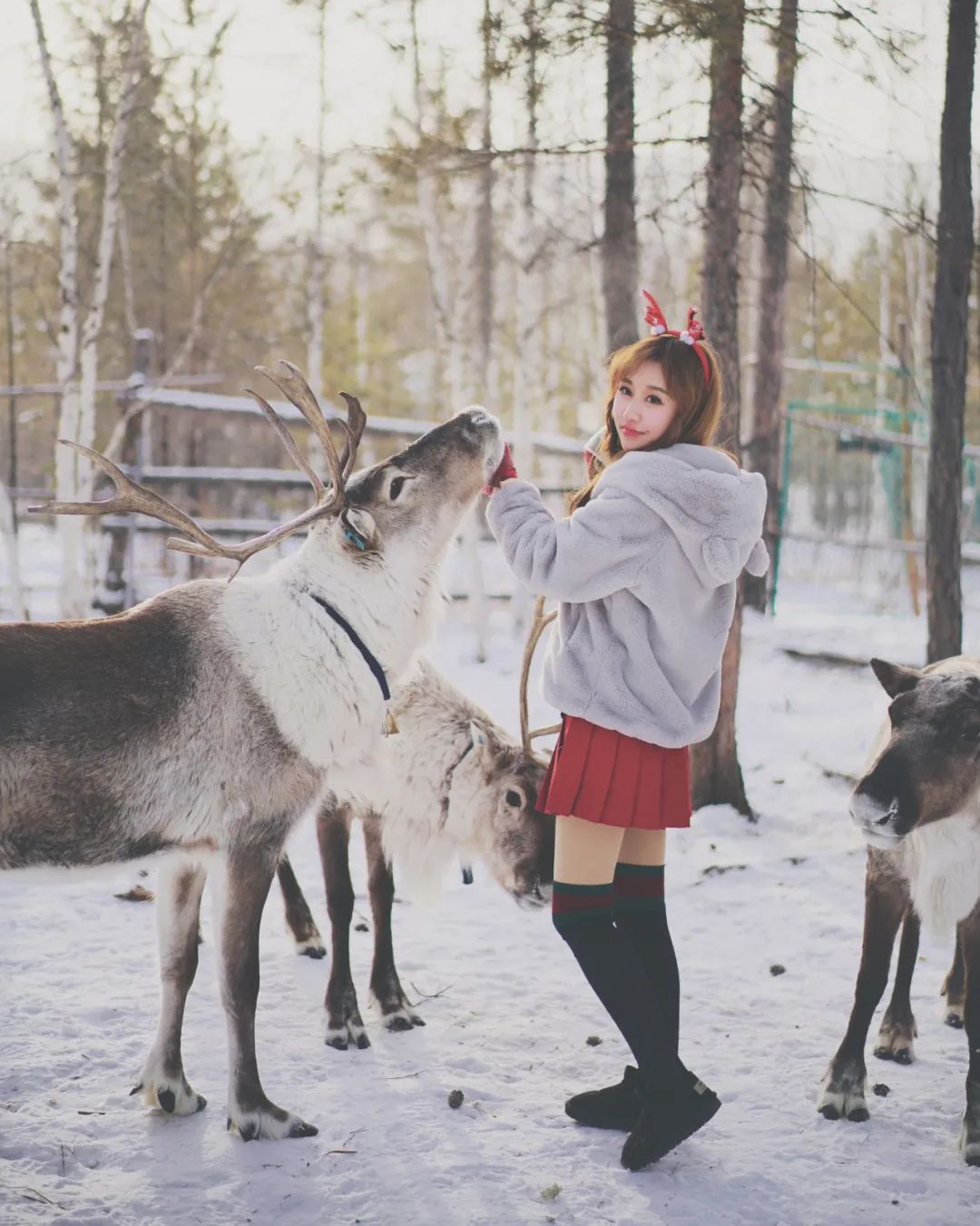 去哪看极光最好的地方,去哪里看极光最好的地方