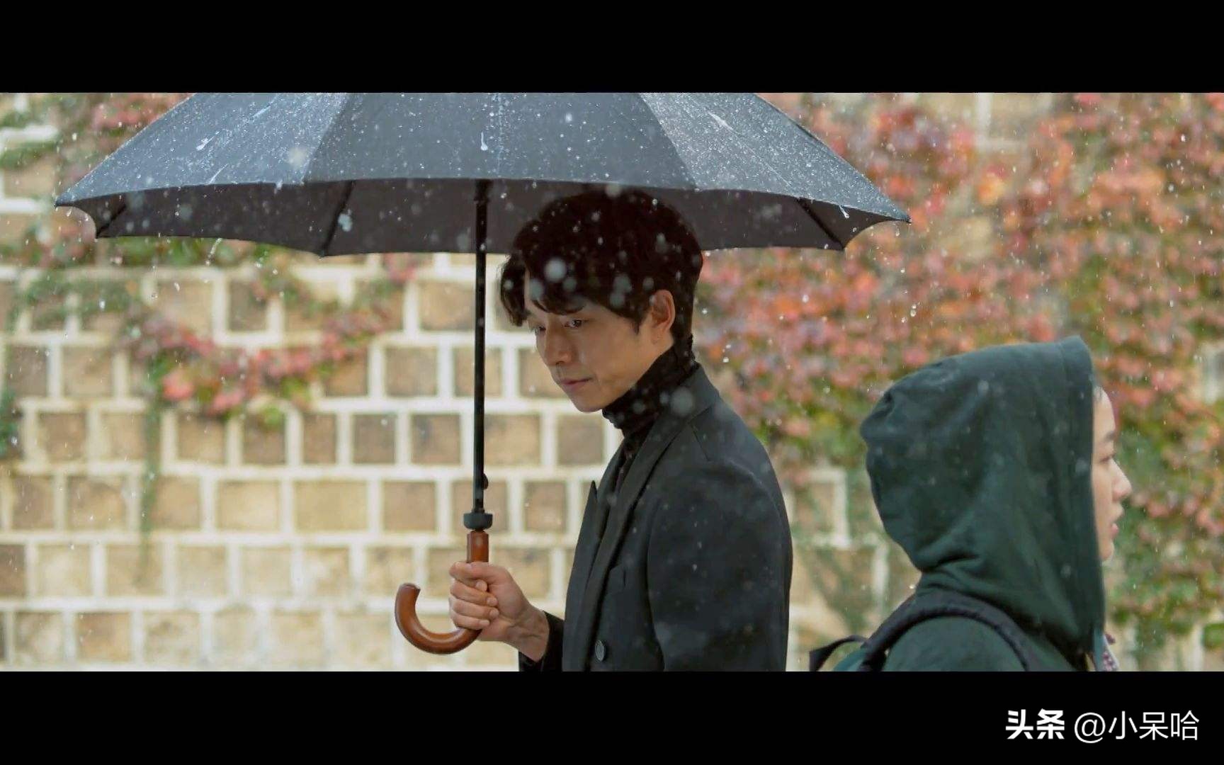 评分最高50部韩剧推荐,盘点评分最高的韩剧