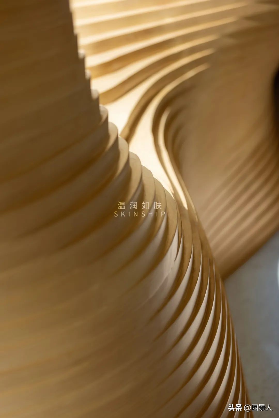 南山之北，理想生活追寻丨保利·麓谷林语