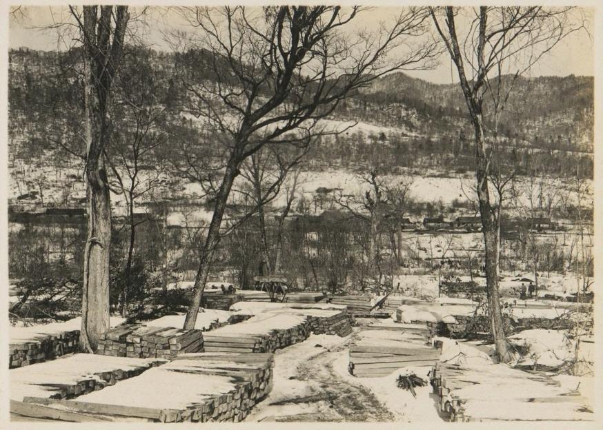 日军在湖南省武冈的暴行,日寇扫荡惨案