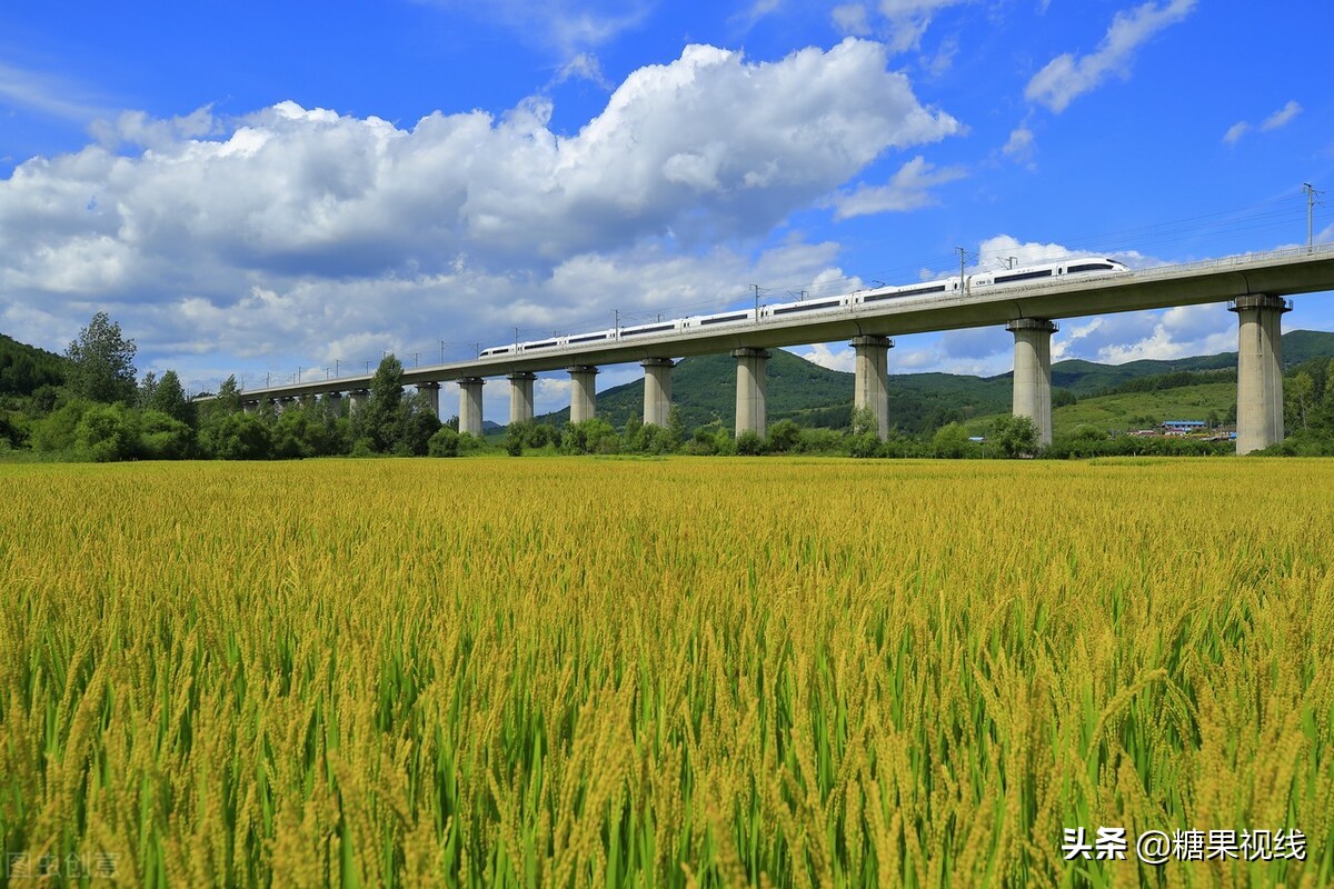 高速动车g和d区别,动车gdc区别