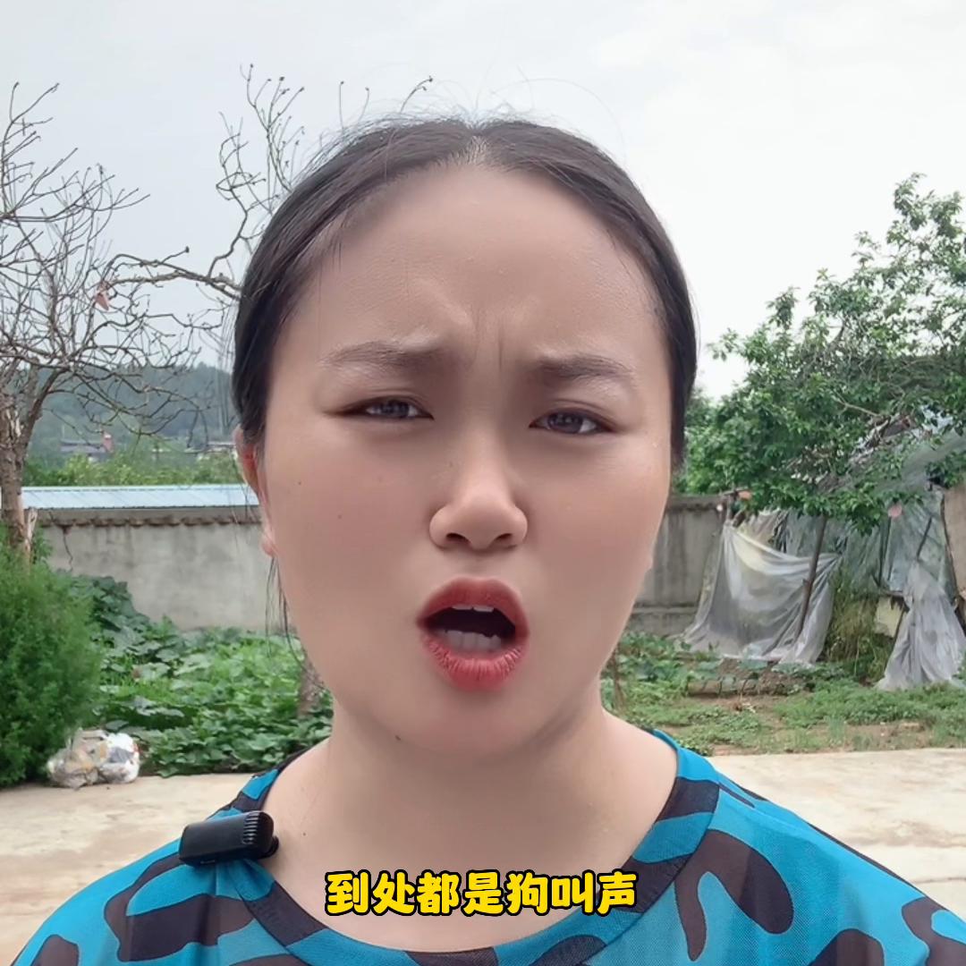 感恩一直默默为我点赞与支持我,感恩所有为我点赞和支持我的朋友