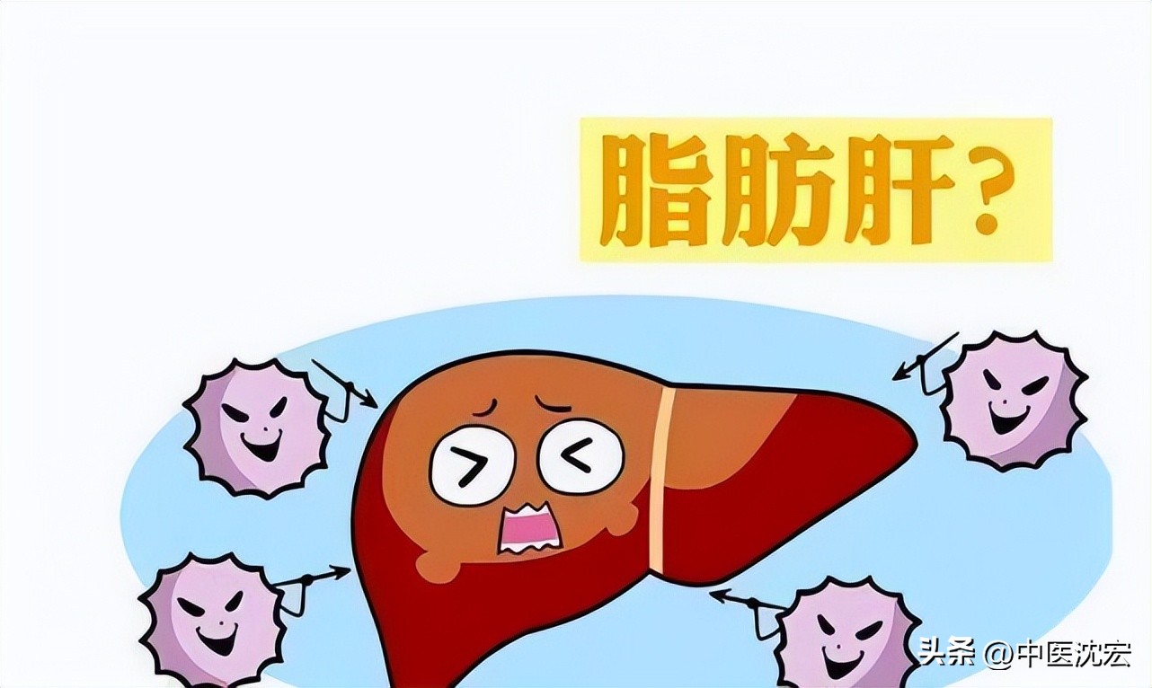 脾胃虚寒脂肪肝中成药,针对脂肪肝的中药