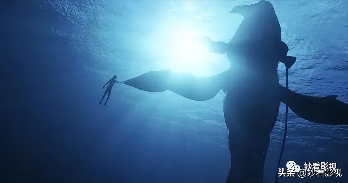 2022年网络电影票房排行榜,2022年全球电影排行榜票房前十名