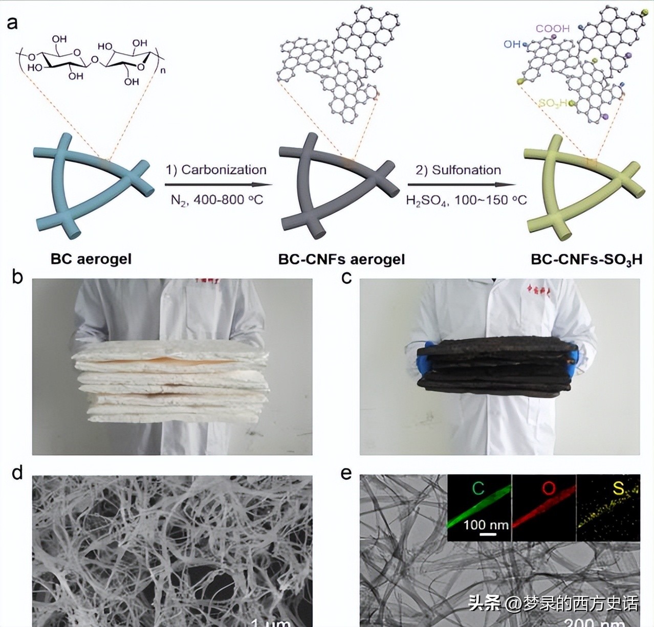 纤维和结晶纳米纤维素对醋酸纤维素膜的增强作用