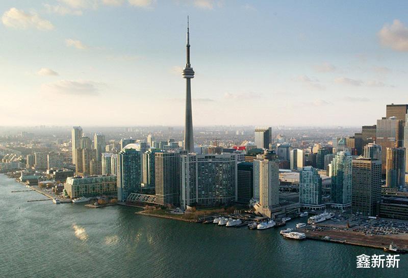 中国留学生被杀真实案例,留学女生被杀后续