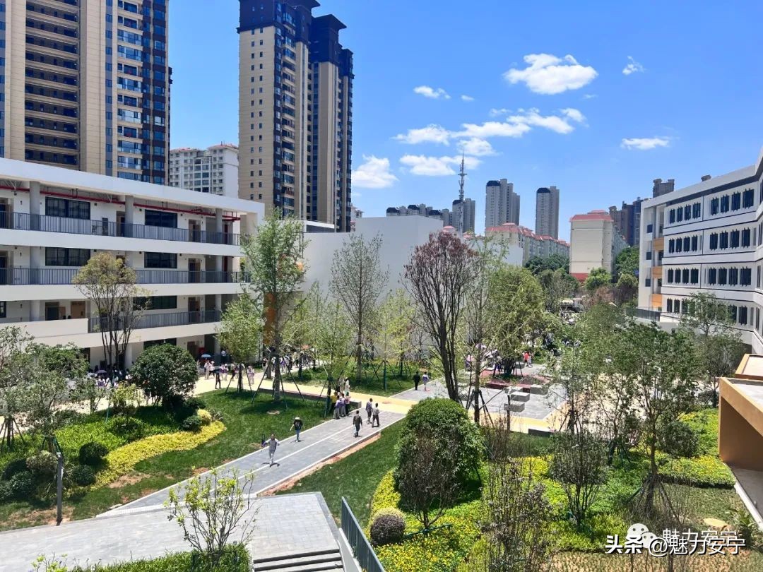 安宁中学新消息,安宁中学初中部2025届