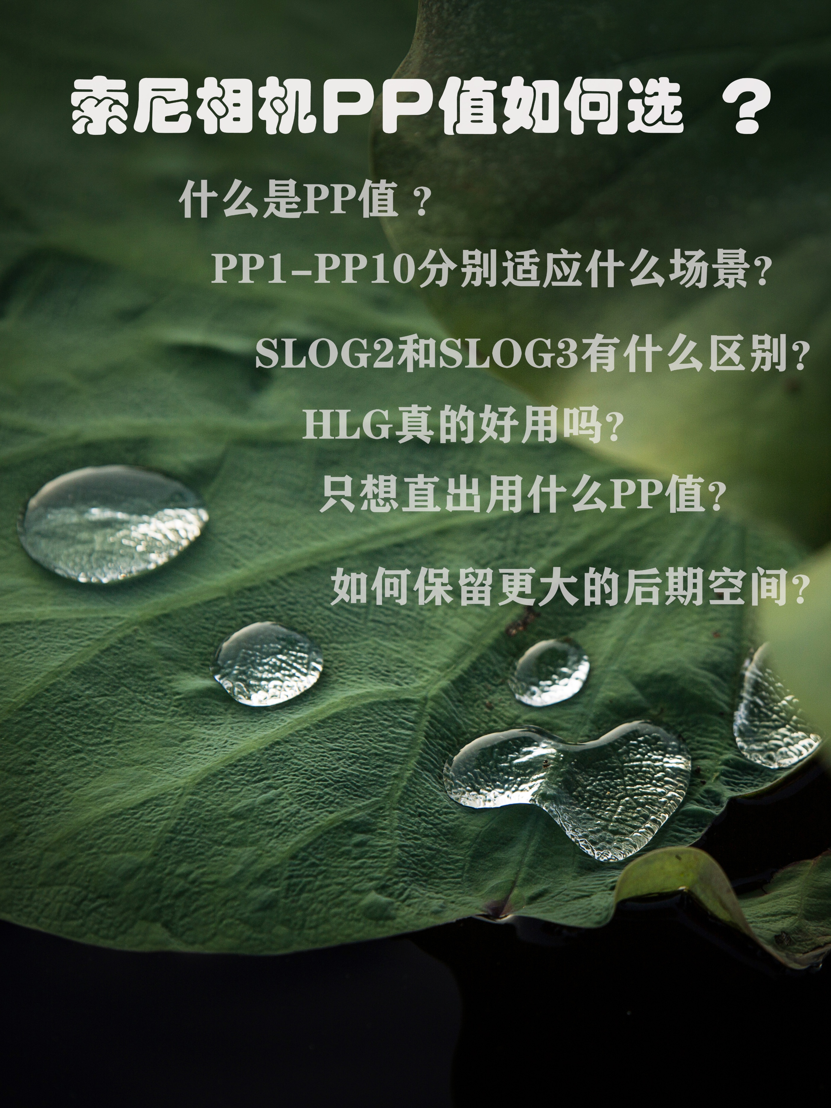 关于索尼pp值,索尼pp值的曝光怎么设定