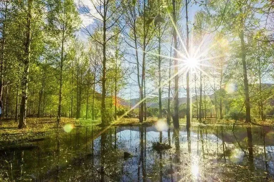 五一甘孜川西环线旅游路线,春节成都甘孜五日游攻略