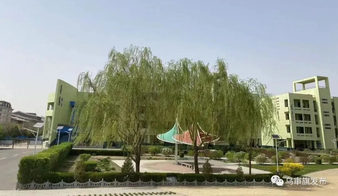 实验小学文明创建,文明校园创建工作有哪些