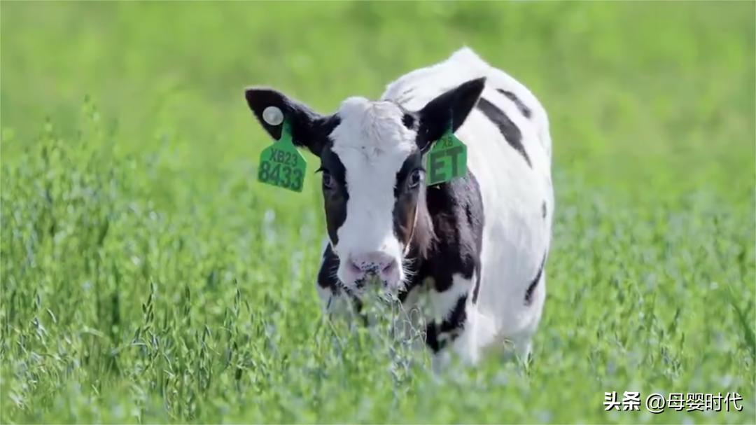 好奶粉新标准,金领冠珍护好奶粉新标准