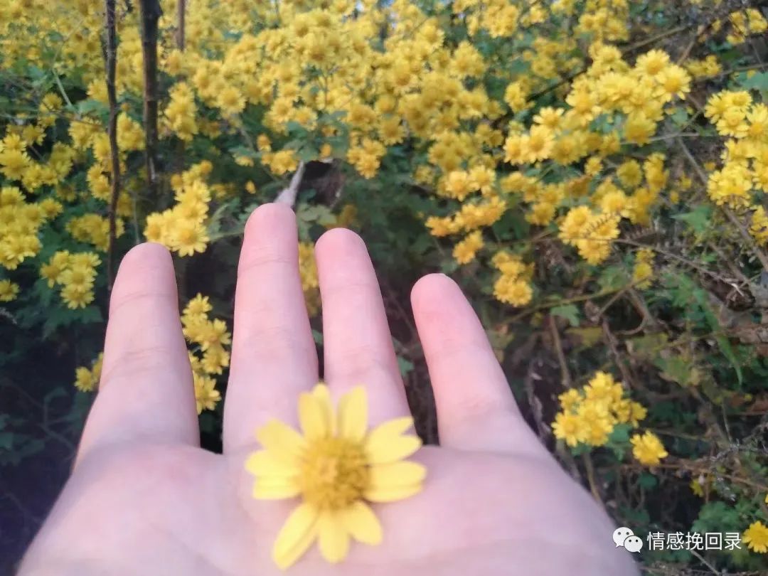 喜欢上一个讨厌的人是什么心理,喜欢上一个讨厌自己的女生怎么办