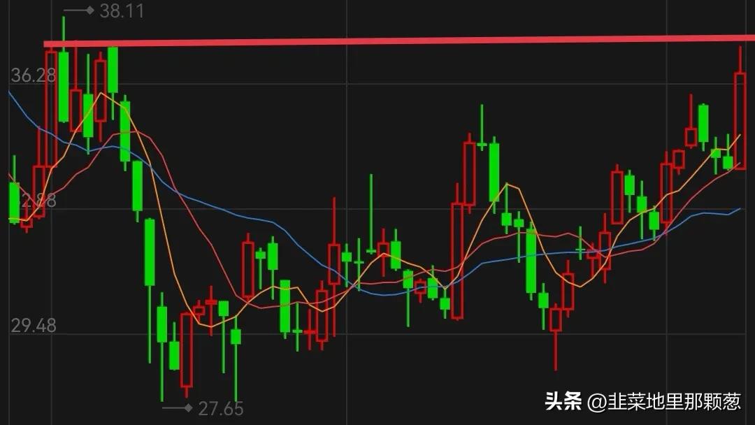 格力电器2019年除权除息日,格力电器拟分红55.37亿元