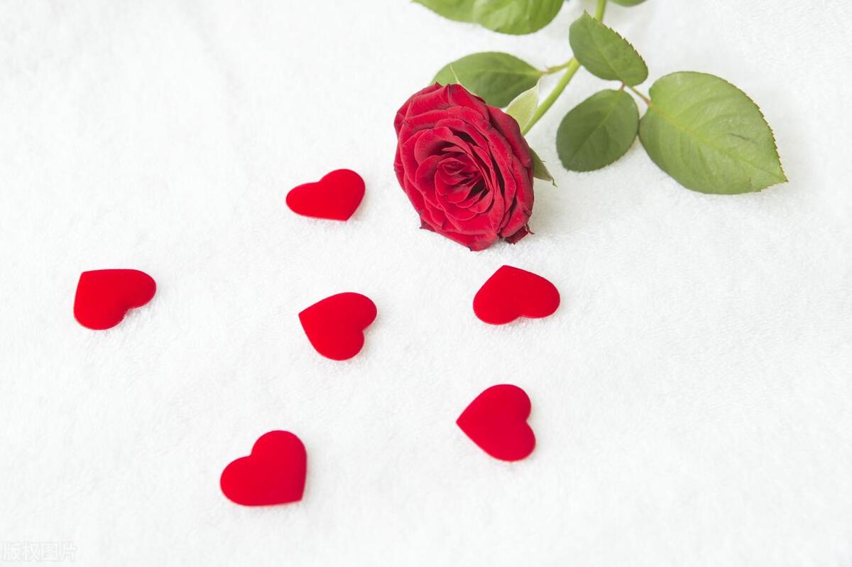 皮条客“占股分红”系卖淫场所老板的经济激励，不认定组织卖淫罪