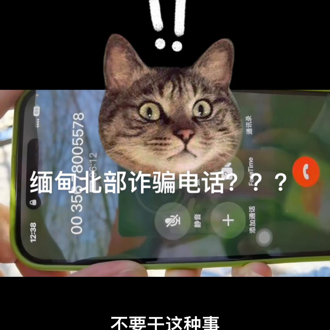 电信诈骗小姐姐视频,小姐姐第一次遇到网络诈骗