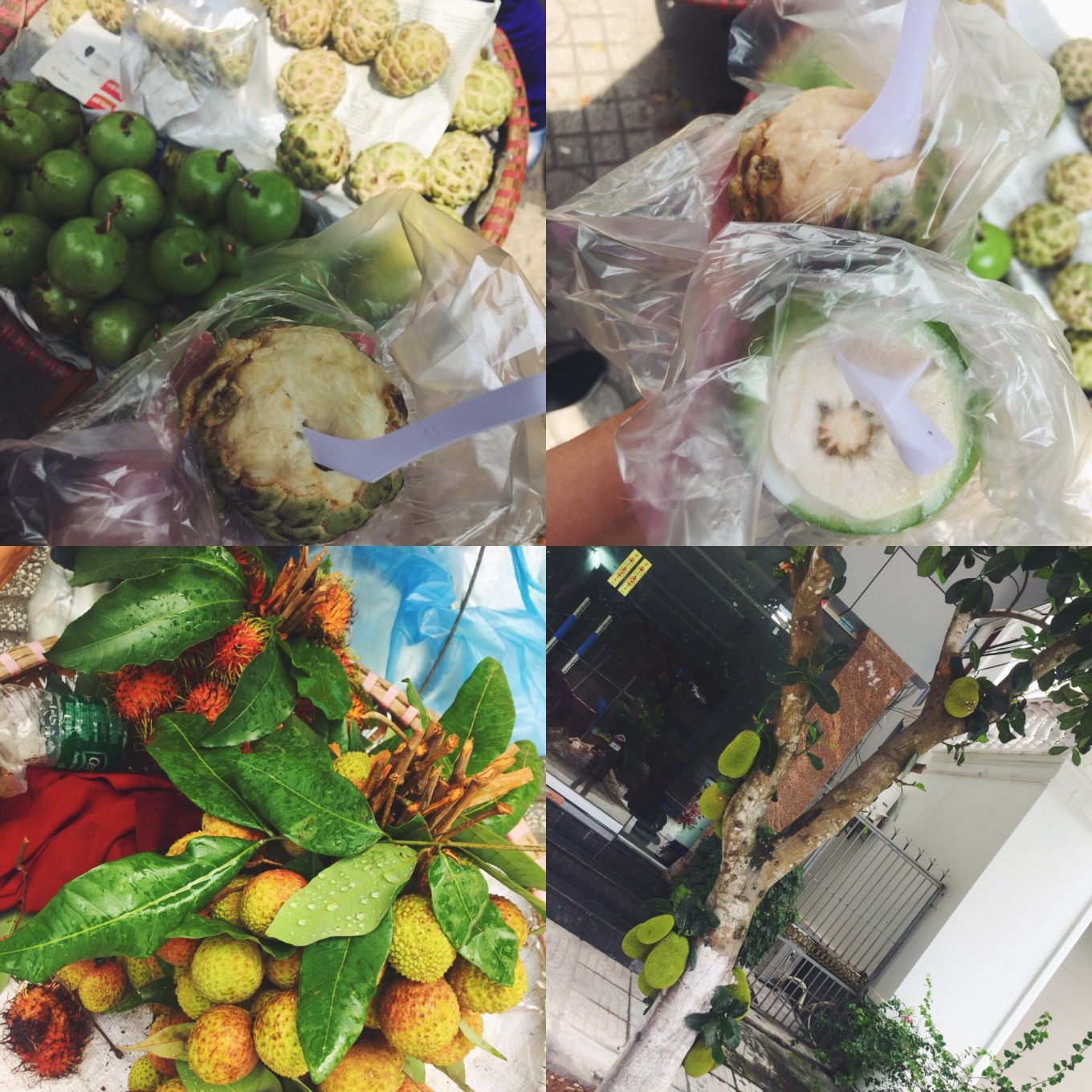 西安自驾北海6日游攻略,成都自驾北海6日游攻略