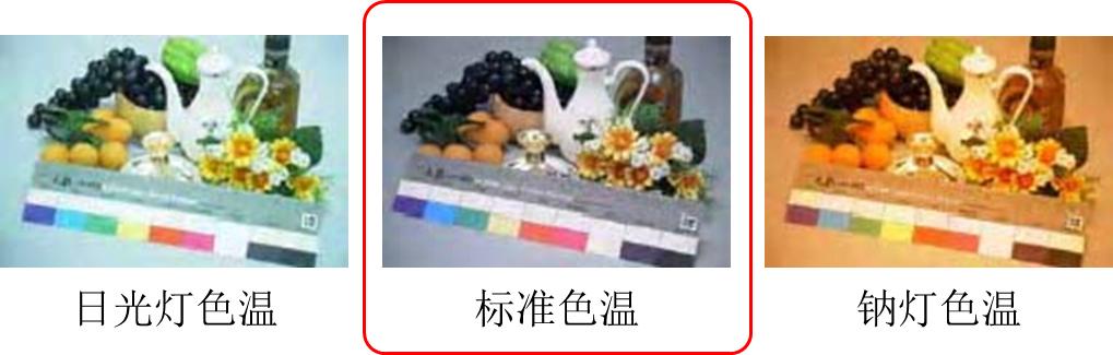 「一起学」安防-视频监控系统前端摄像机详解及后端相关设备简介