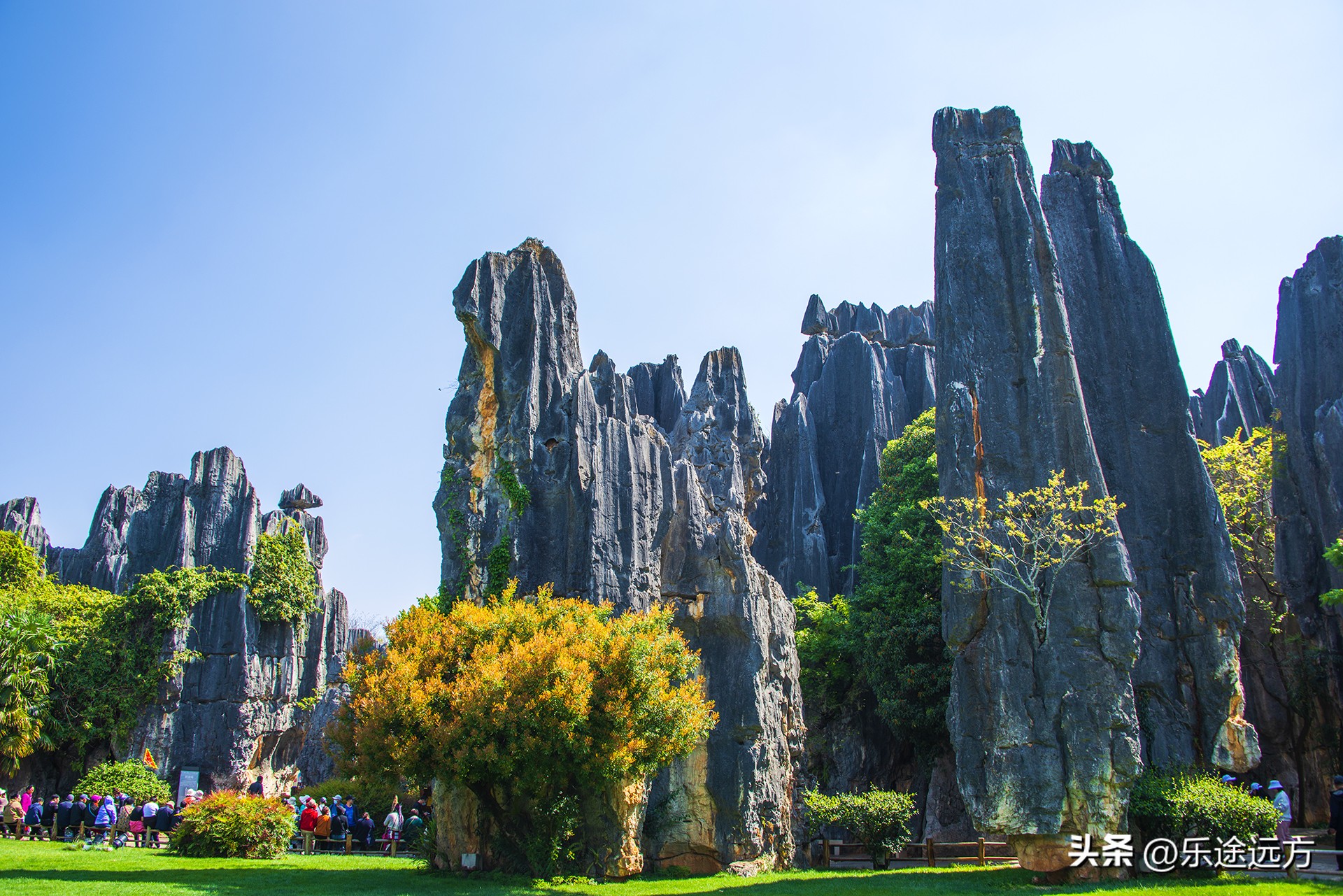 为什么一定要去云南,去昆明一定要去石林吗