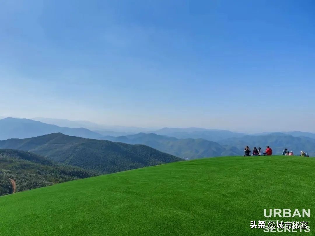 这个被赵露思带火的杭州小乡镇究竟有什么魅力？引来无数网友打卡