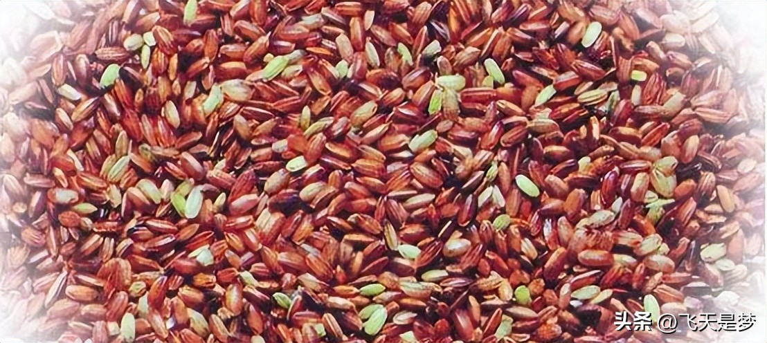 人工合成黄金米,黄金米是什么合成的能吃吗