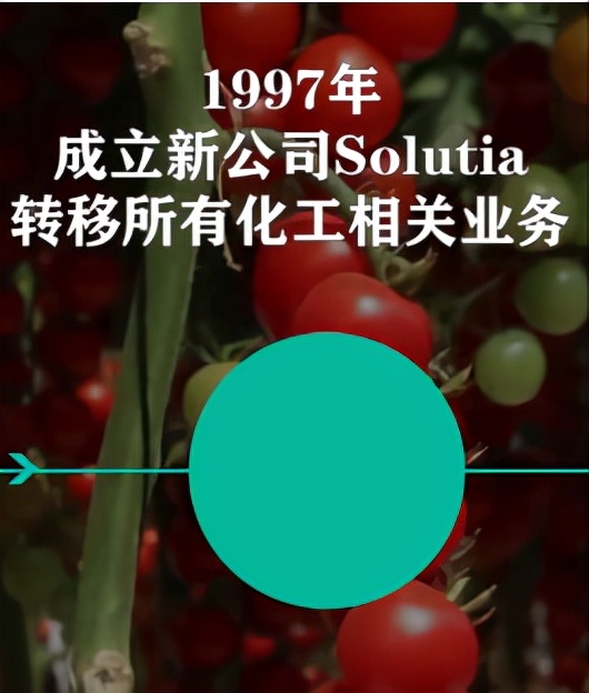 种子危机孟山都,种子巨头孟山都