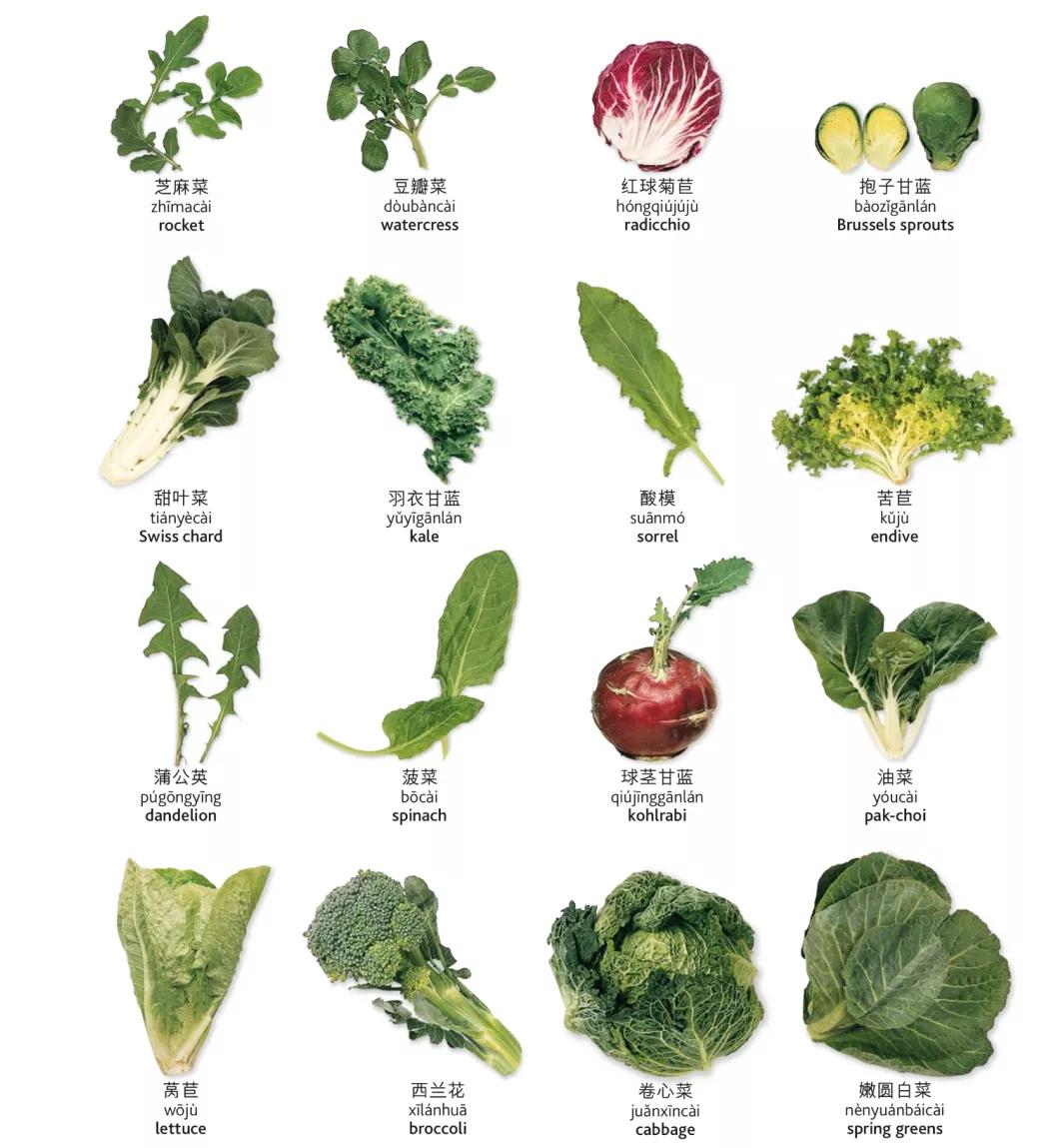 茶类饮料有哪些英语翻译,什么饮料最健康的英文翻译