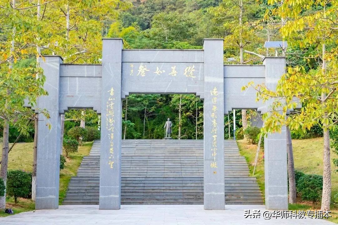 318分可以读什么学校,318分能上哪个学校广西