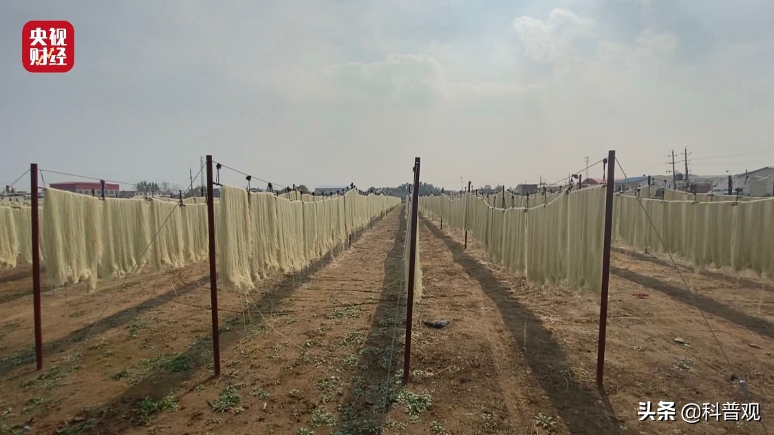 假粉条木薯粉对人身体有啥坏处,红薯粉和木薯粉混合粉条合格吗