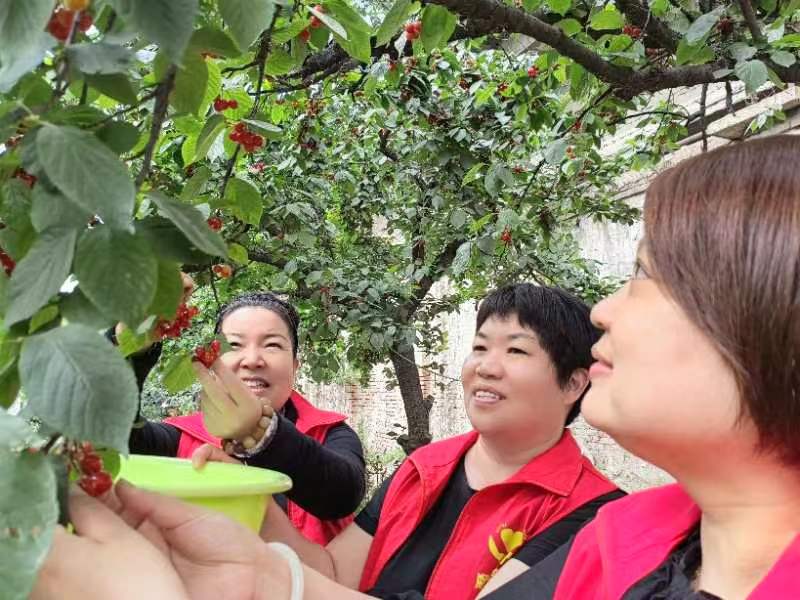 顺合养老,养老服务合作交流会