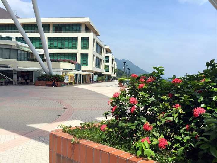 排名低的香港教育大学值得去吗,深度解析香港教育大学