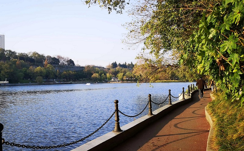 12月南京有哪些免费景点,南京市民免费旅游景点