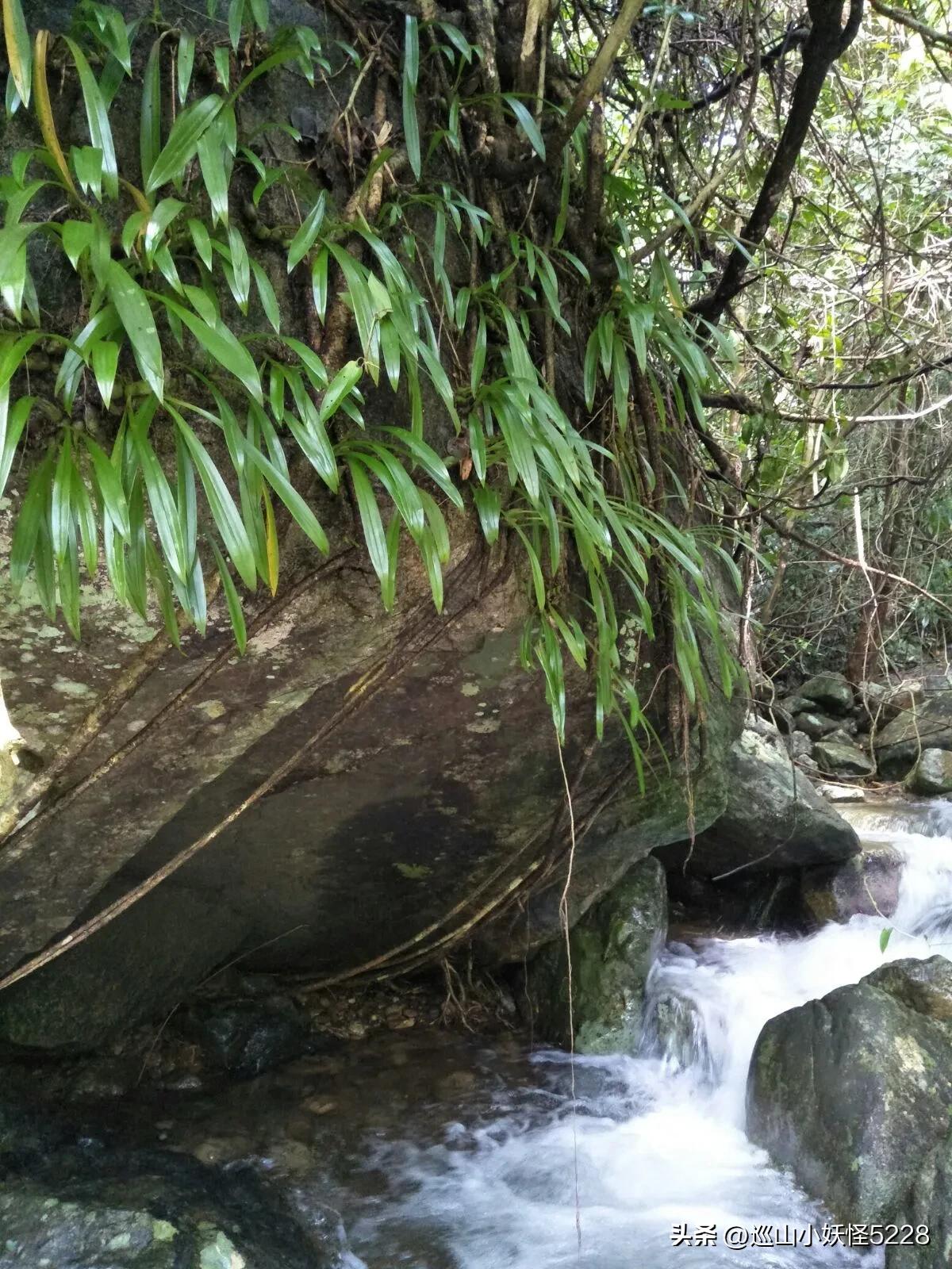 海口金牛岭的传说故事,三亚凤凰岭的传说和故事