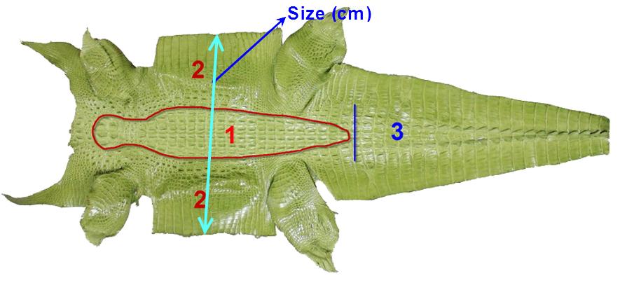鳄鱼皮包包真的是鳄鱼皮做的吗,真正的鳄鱼皮做出来的皮包