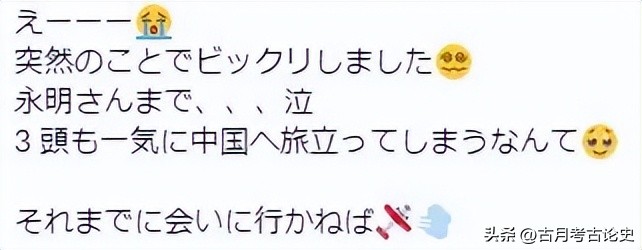 旅日大熊猫回国日本人反应,四只旅日大熊猫陆续归国