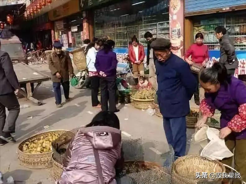 湛江哪里的鱼多,湛江章鱼属什么品种