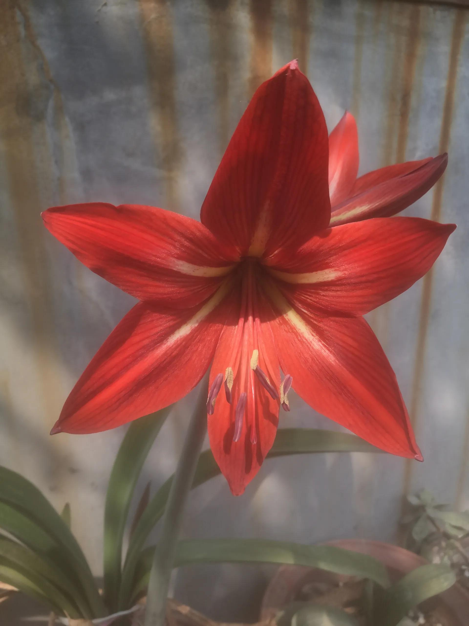 要男人有什么用经典语录,我要男人有何用完整版