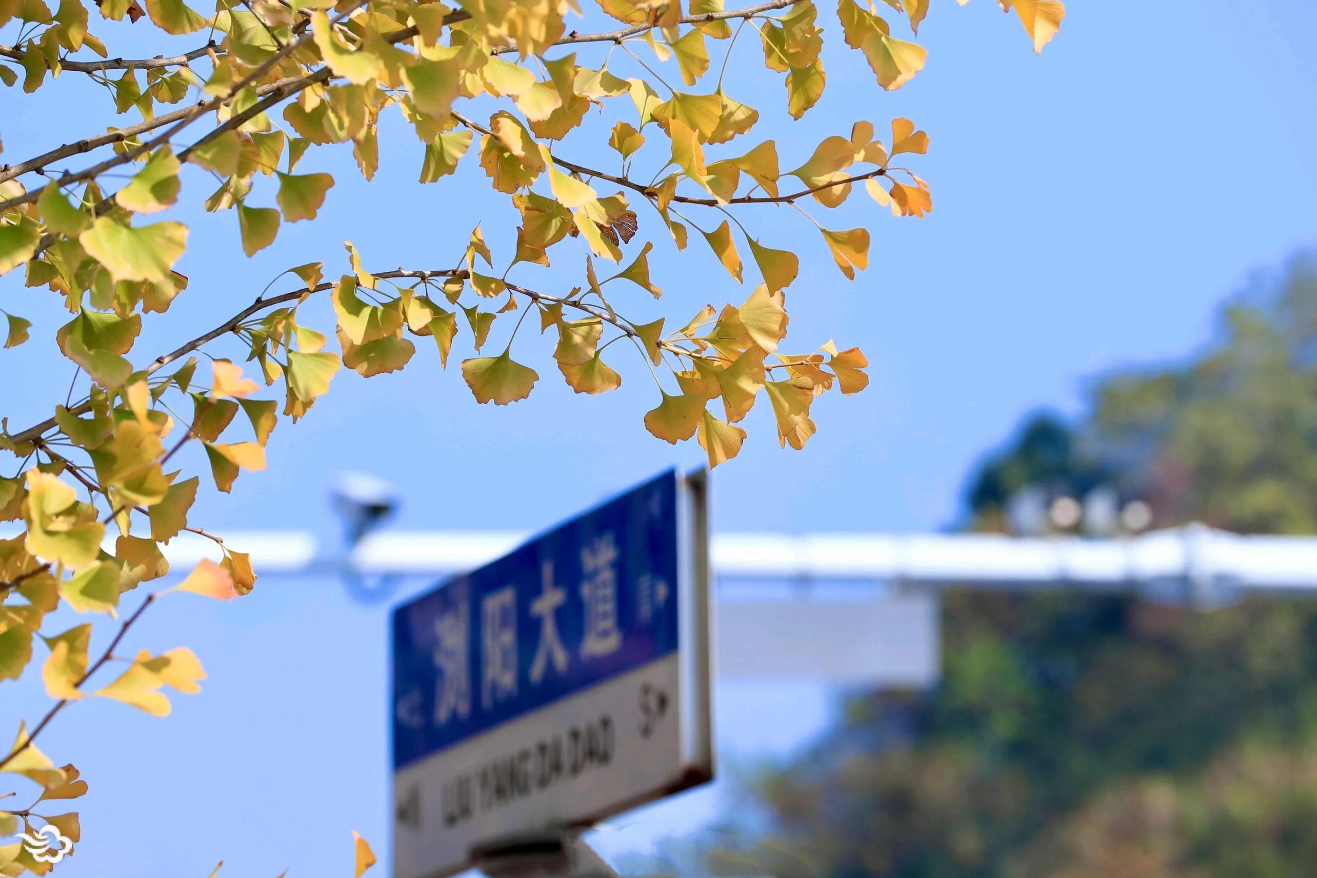 外卖骑手经验分享视频,新手骑手第一单跑腿