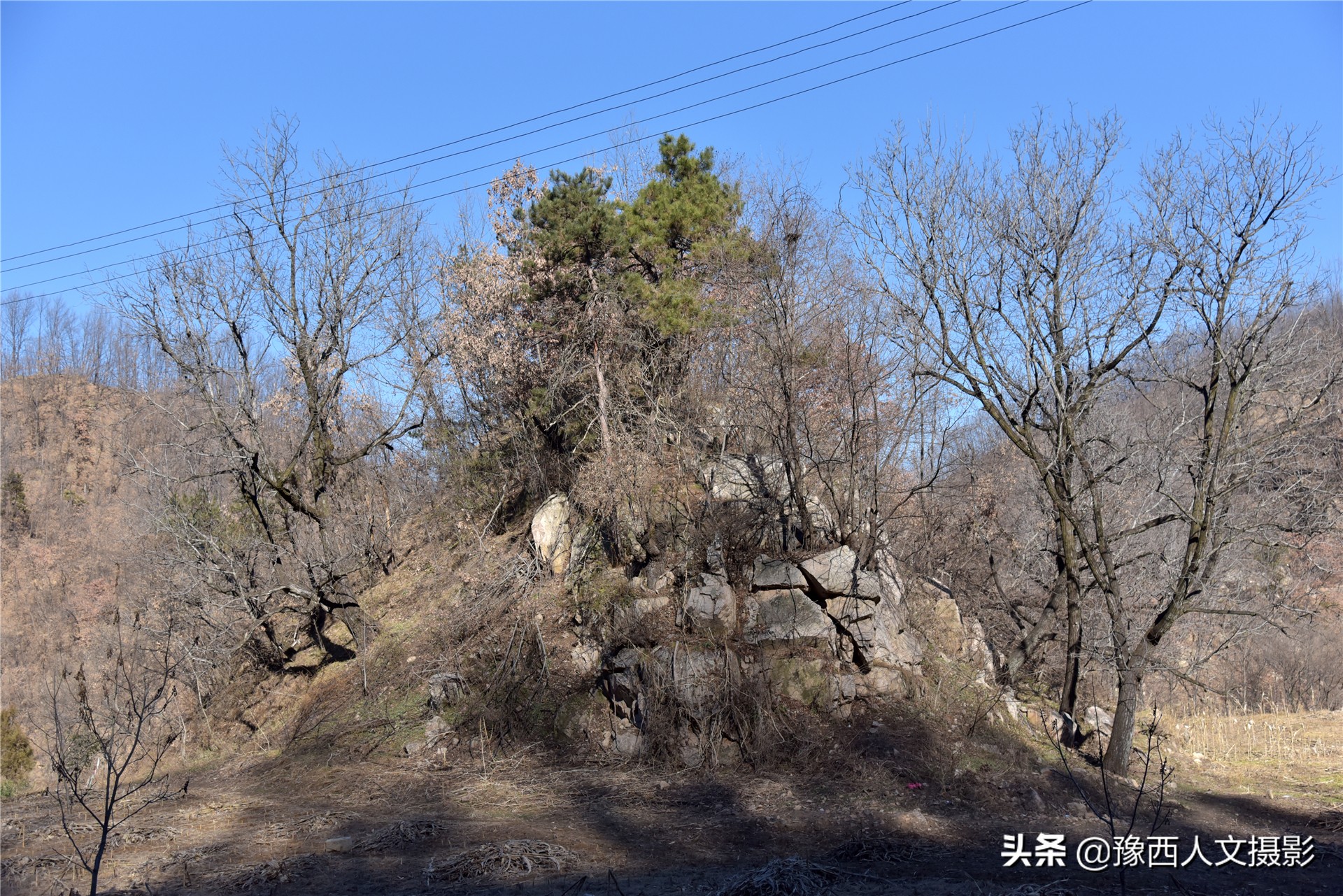 孤山坟墓葬在哪里好,孤山上的坟墓