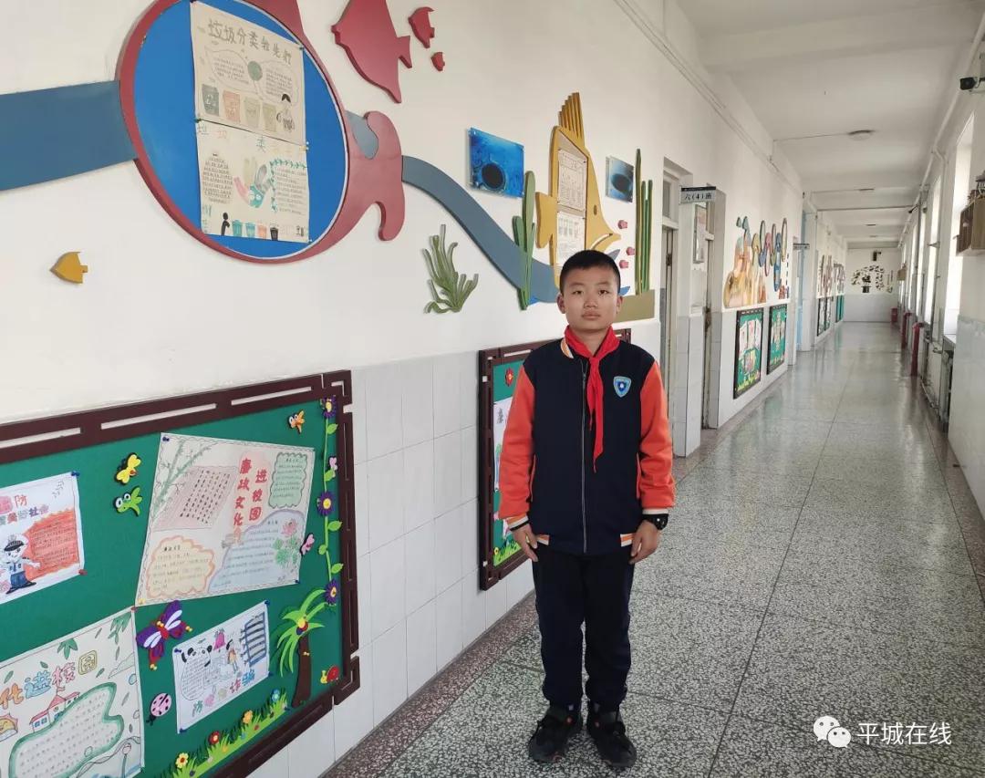 寻找2024年全国最美家庭评选活动,寻找最美乡贤评选活动方案