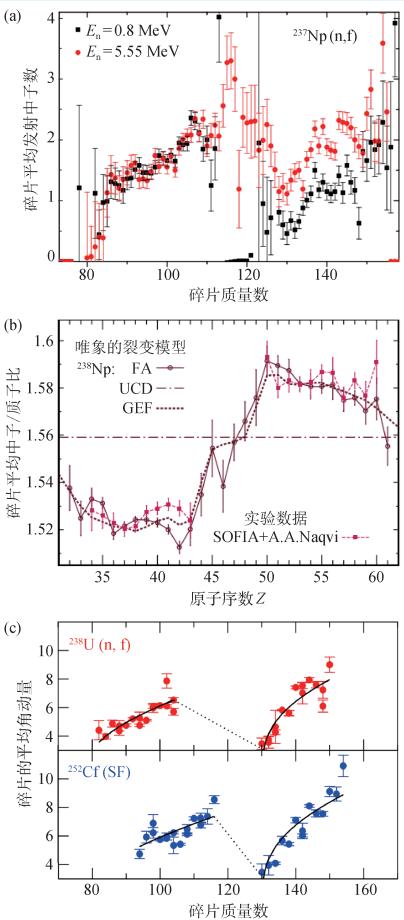 核裂变未尽的探索,核裂变的秘密