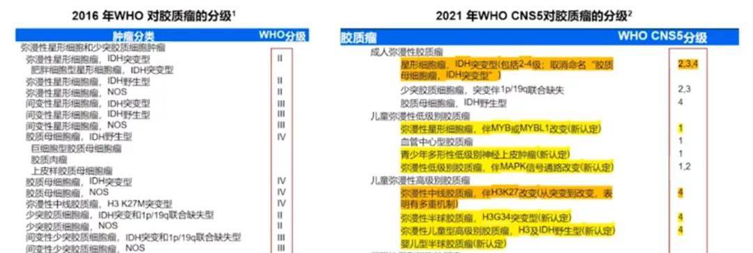 idh突变的星形胶质瘤预后,胶质瘤idh1突变和idh2不突变