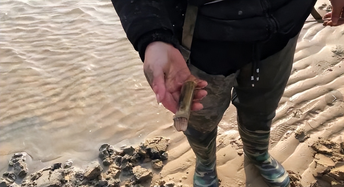 岛城老味道,青岛老味道中山路店