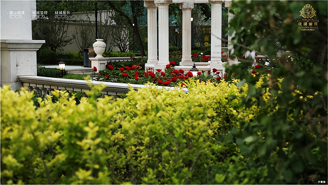 珑湖丽宫|橡树湾小学入驻！护航菁英茁壮成长！