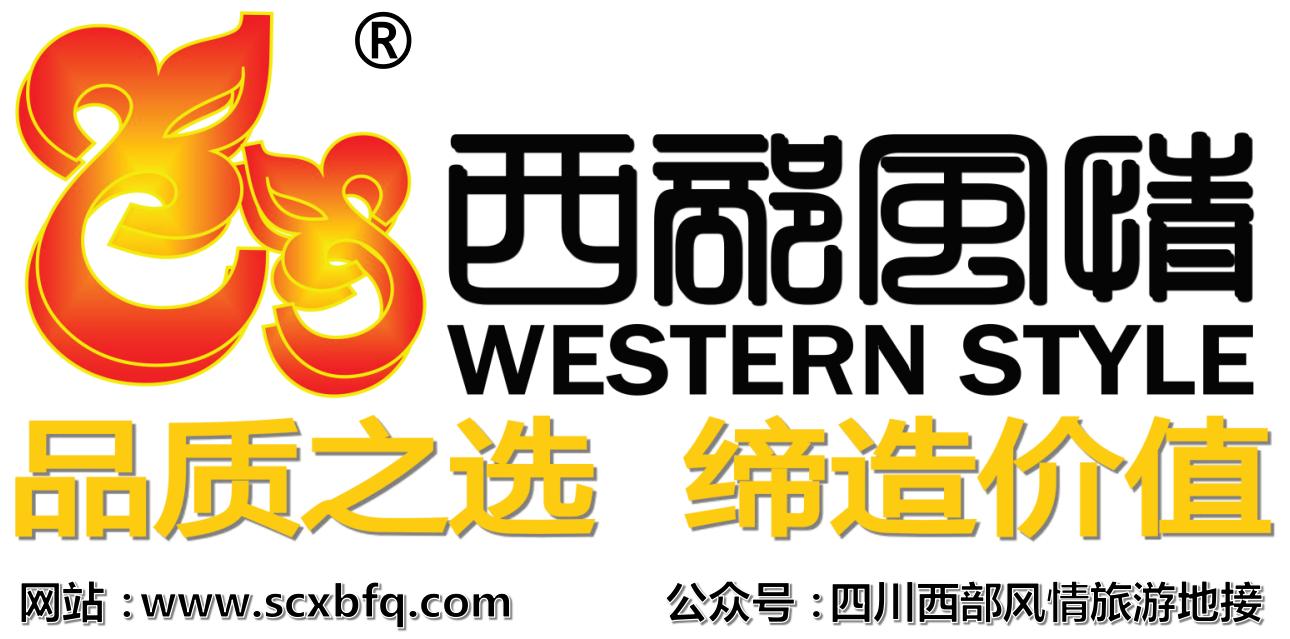 去西藏旅游和现实中西藏旅游,西藏后藏旅游攻略