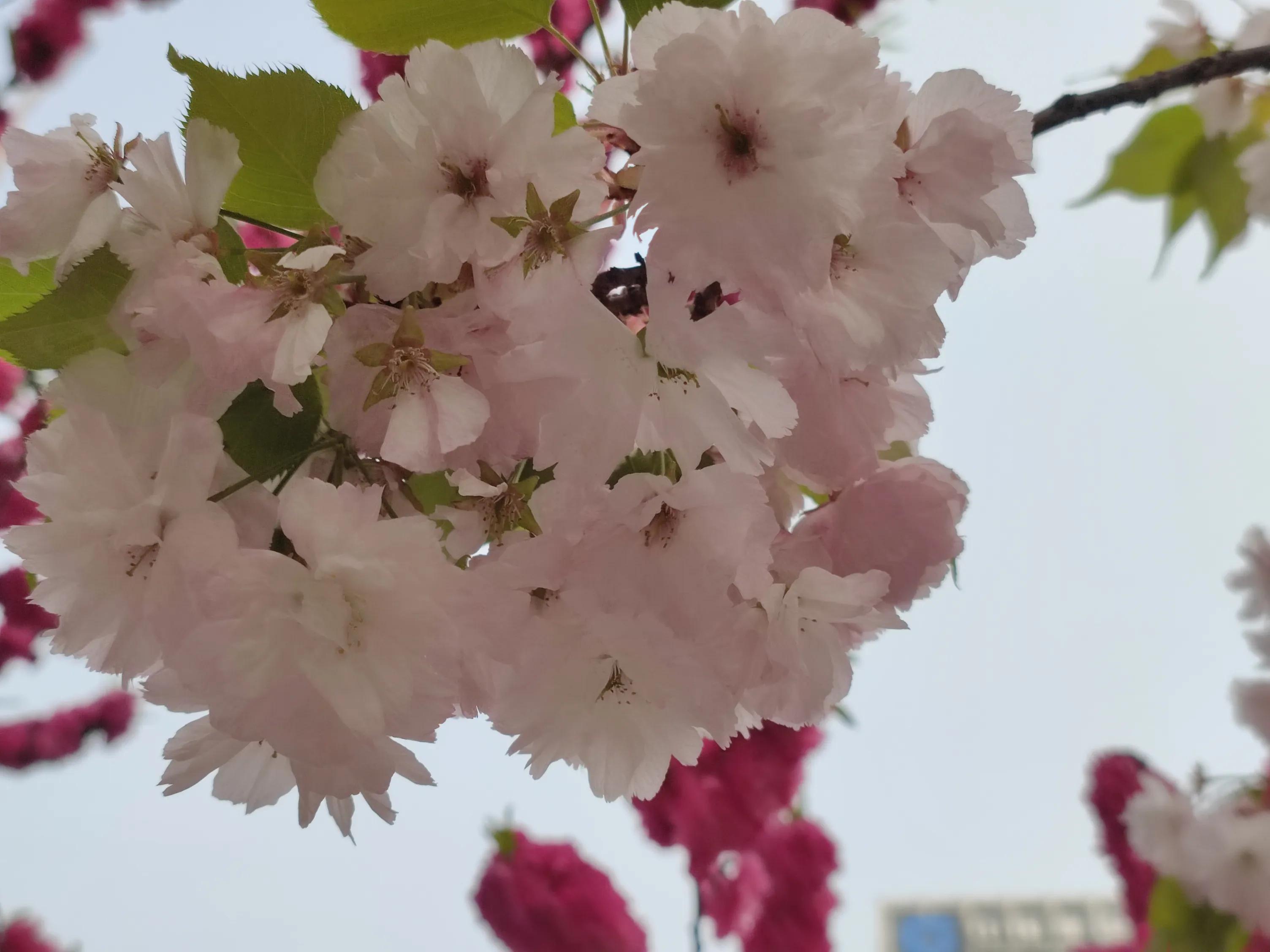 一节特别的什么课600字优秀作文,优秀作文有意义的一天300字